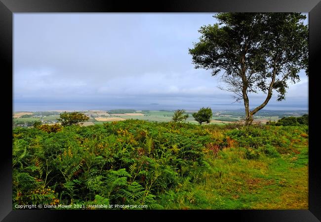  Somerset Levels from the Quantocks Framed Print by Diana Mower