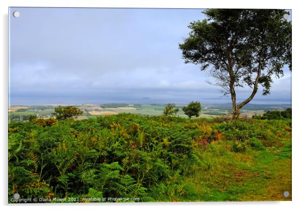  Somerset Levels from the Quantocks Acrylic by Diana Mower