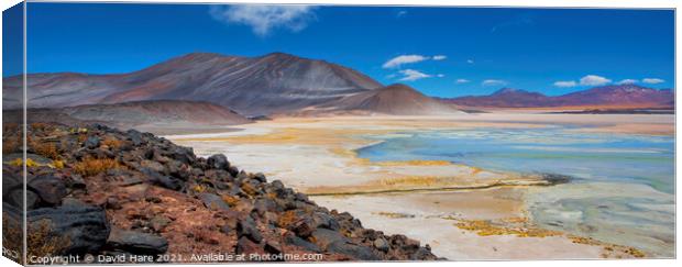 Atacama salt lake Canvas Print by David Hare