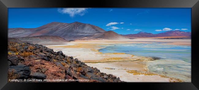 Atacama salt lake Framed Print by David Hare