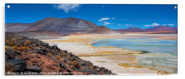 Atacama salt lake Acrylic by David Hare