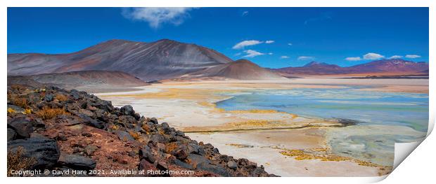 Atacama salt lake Print by David Hare