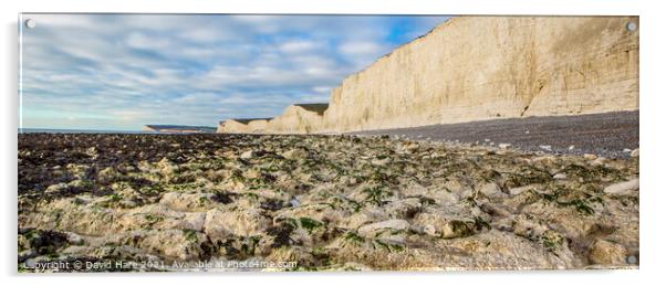 Beachy Head White Cliffs Acrylic by David Hare