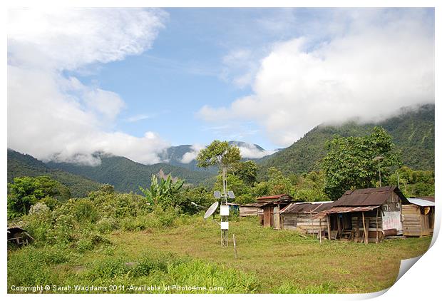 Amazon Rainforest House Print by Sarah Waddams