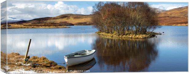 Boat in a Loch Canvas Print by David Hare