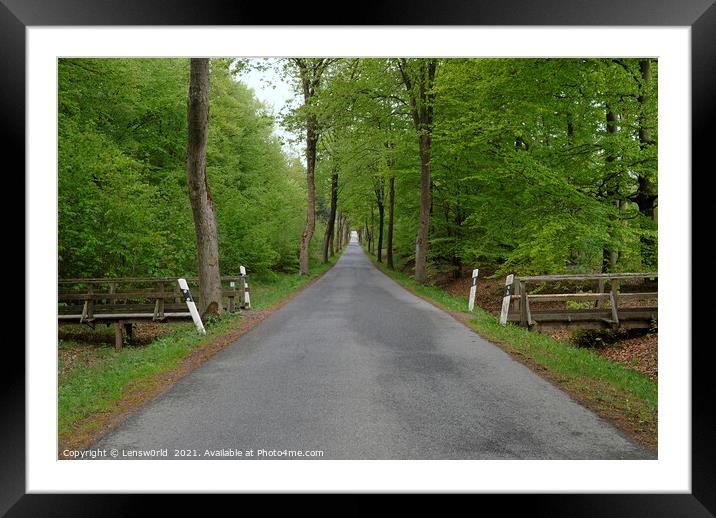 Vanishing point perspective - empty road through a forest Framed Mounted Print by Lensw0rld 