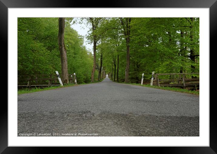 Vanishing point perspective - empty road through a forest Framed Mounted Print by Lensw0rld 
