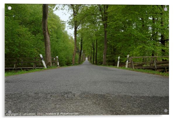 Vanishing point perspective - empty road through a forest Acrylic by Lensw0rld 