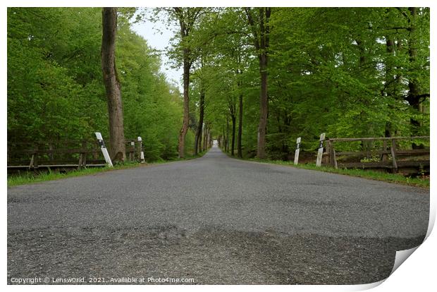 Vanishing point perspective - empty road through a forest Print by Lensw0rld 
