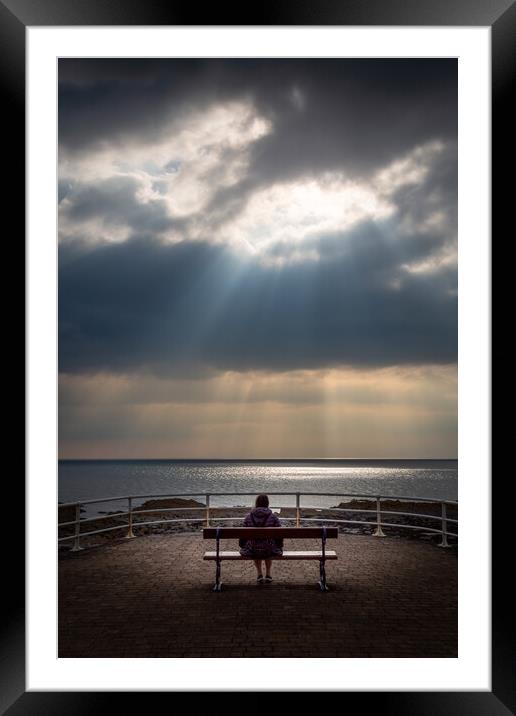 Sunlight on a bench Framed Mounted Print by Leighton Collins