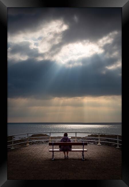 Sunlight on a bench Framed Print by Leighton Collins