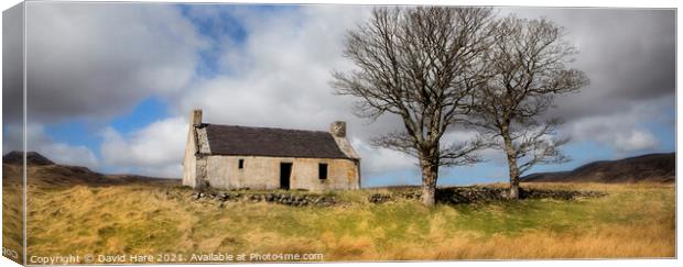 Highland Cottage Canvas Print by David Hare