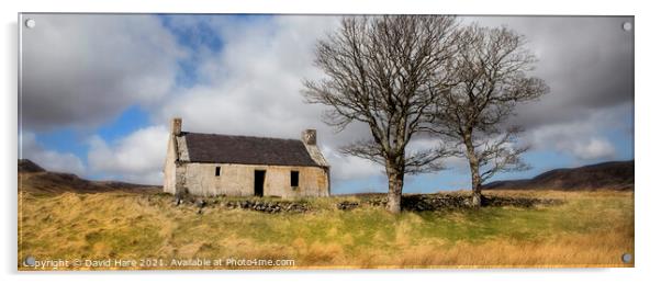 Highland Cottage Acrylic by David Hare