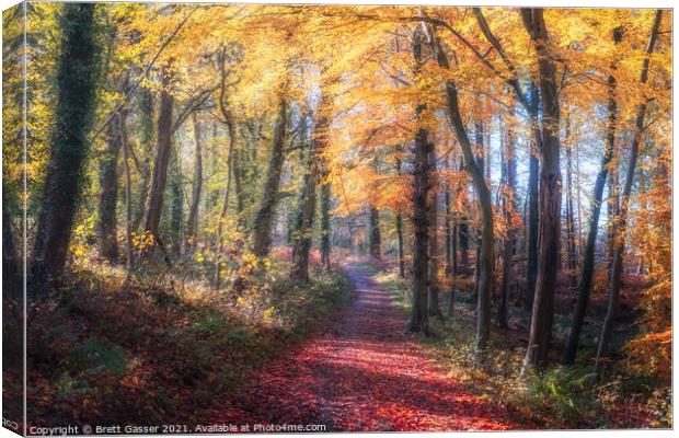 Autumn Path Canvas Print by Brett Gasser