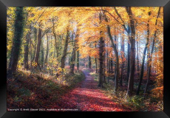 Autumn Path Framed Print by Brett Gasser