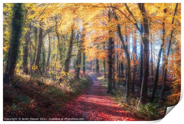 Autumn Path Print by Brett Gasser