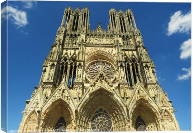 Reims Cathedral Canvas Print by Ann Biddlecombe