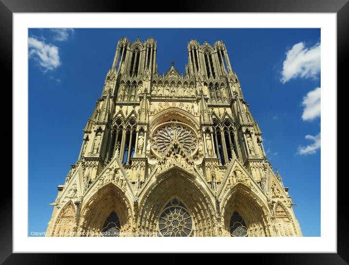 Reims Cathedral Framed Mounted Print by Ann Biddlecombe