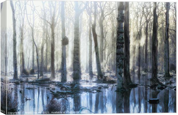 New Forest Trees Canvas Print by Brett Gasser
