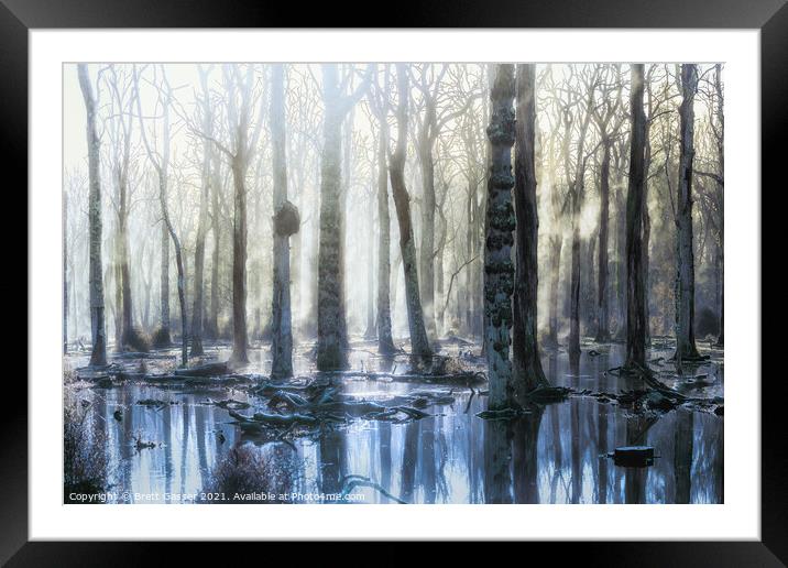 New Forest Trees Framed Mounted Print by Brett Gasser