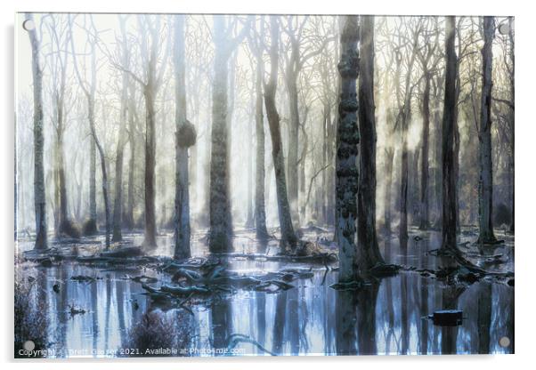 New Forest Trees Acrylic by Brett Gasser