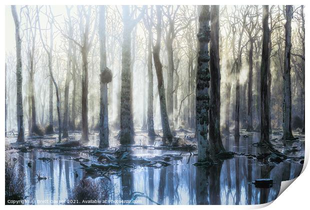New Forest Trees Print by Brett Gasser