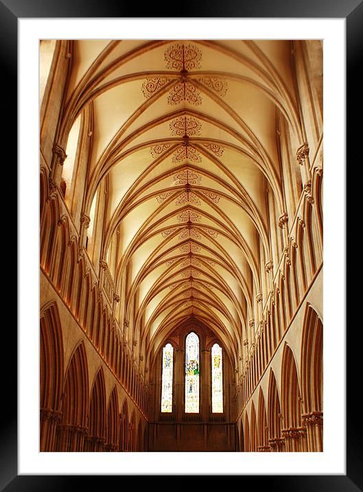 Wells cathedral hall Framed Mounted Print by Sean Wareing