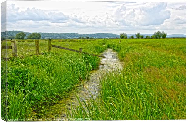 The Somerset Levels Canvas Print by Philip Gough