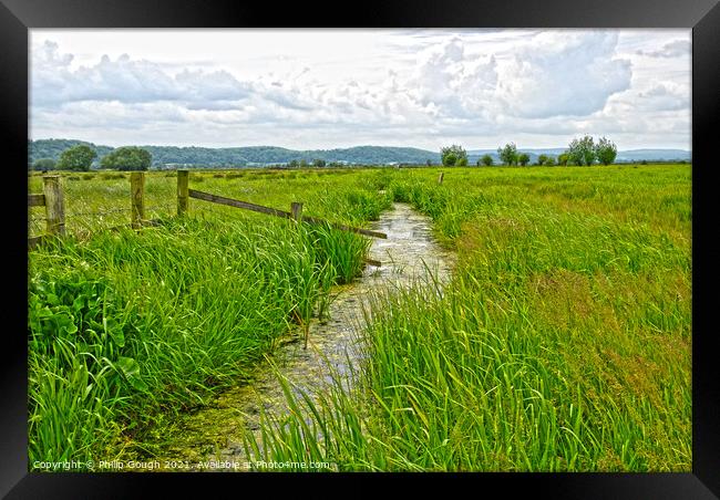 The Somerset Levels Framed Print by Philip Gough