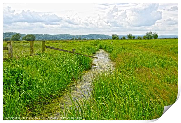 The Somerset Levels Print by Philip Gough
