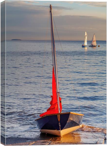 Mirror dinghy Canvas Print by Rory Hailes