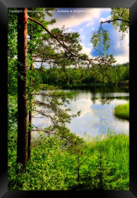 View to Lake Sorvasto on Midsummer Eve Framed Print by Taina Sohlman