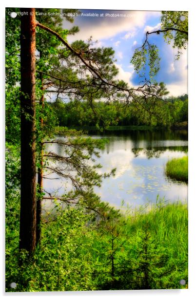 View to Lake Sorvasto on Midsummer Eve Acrylic by Taina Sohlman