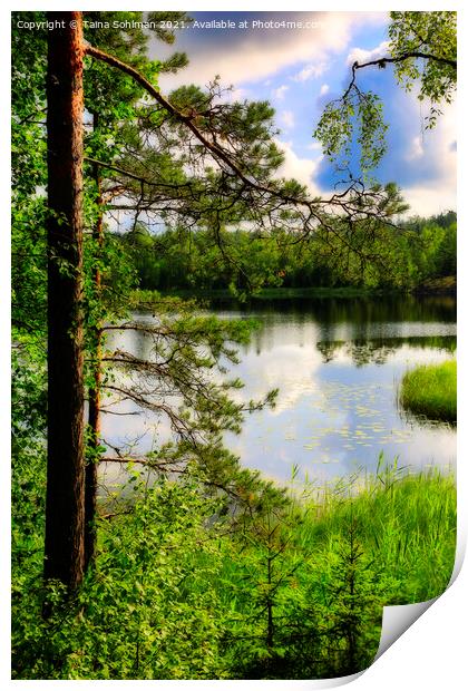 View to Lake Sorvasto on Midsummer Eve Print by Taina Sohlman