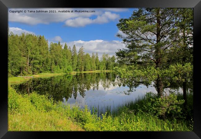 Lake Sorvasto Summer Landscape Framed Print by Taina Sohlman