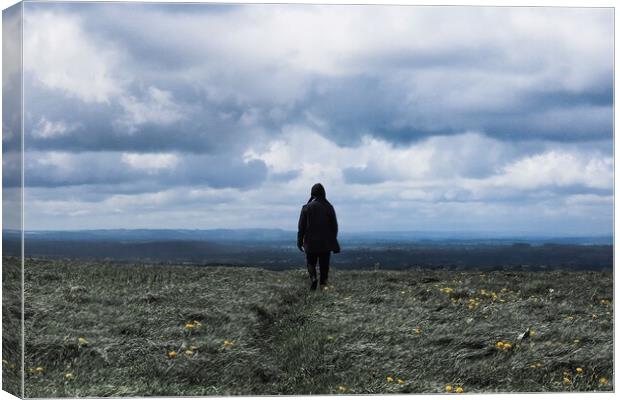 Final Field #2 Canvas Print by Awoken Photography UK