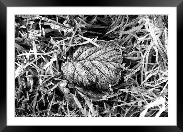 A frosty leaf laying on the ground  Framed Mounted Print by Philip Gough