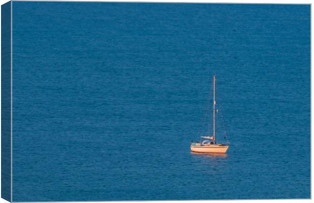 Alone in the sea. Canvas Print by Bill Allsopp