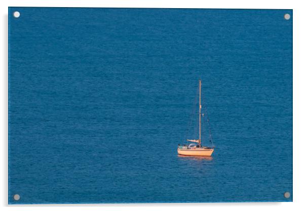 Alone in the sea. Acrylic by Bill Allsopp