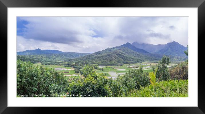 Hanalei Valley Taro fields Framed Mounted Print by Jeff Whyte