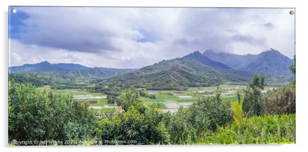 Hanalei Valley Taro fields Acrylic by Jeff Whyte