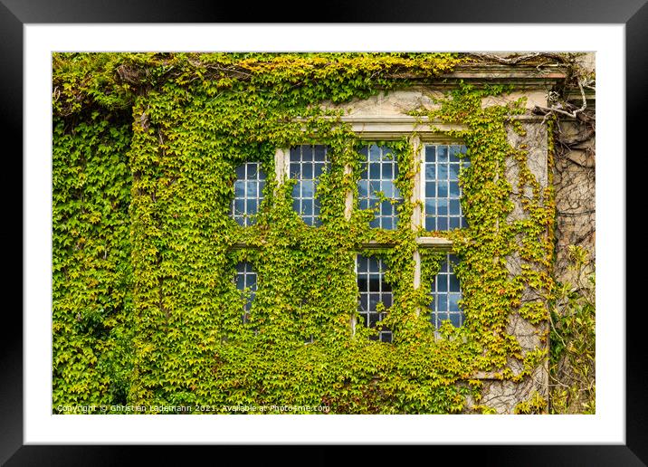 overgrown window, Muckross House, Killarney, Irela Framed Mounted Print by Christian Lademann