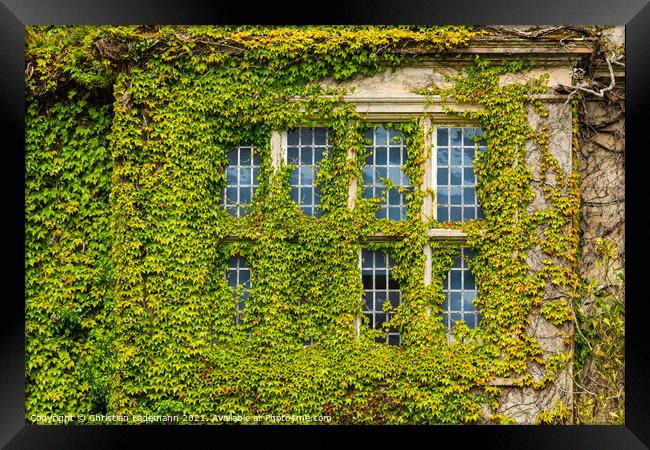 overgrown window, Muckross House, Killarney, Irela Framed Print by Christian Lademann