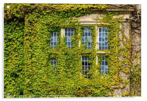 overgrown window, Muckross House, Killarney, Irela Acrylic by Christian Lademann