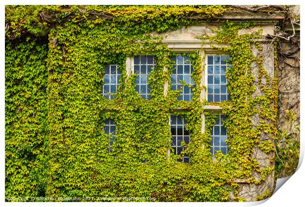 overgrown window, Muckross House, Killarney, Irela Print by Christian Lademann