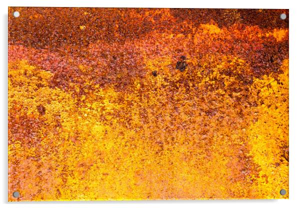 Rust patterns. Acrylic by Bill Allsopp