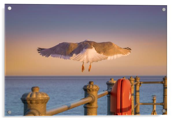 Evening takeoff. Acrylic by Bill Allsopp