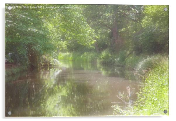 Basingstoke Canal Acrylic by Peter Jones