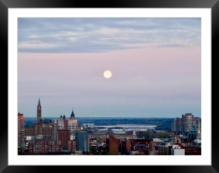 Ottawa in the evening Framed Mounted Print by Stephanie Moore