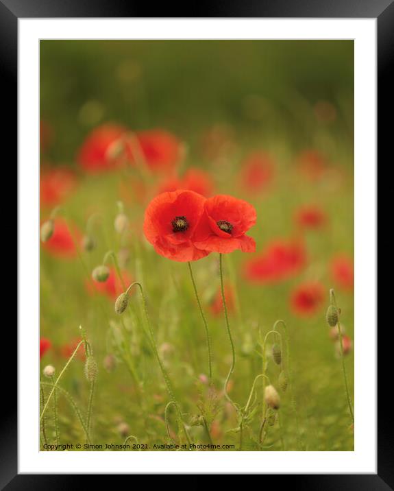 him and her poppies Framed Mounted Print by Simon Johnson